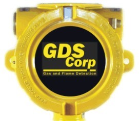 GDS 20-0100