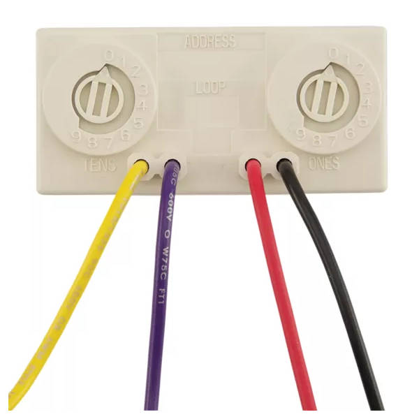 MMF-301